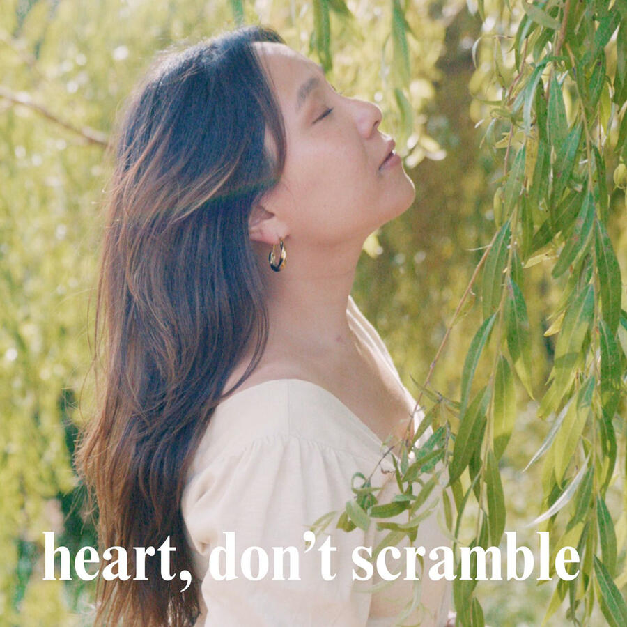 TZE - heart, don't scramble (Producer/mix/recording track 1; mix/recording tracks 2, 4, 5)